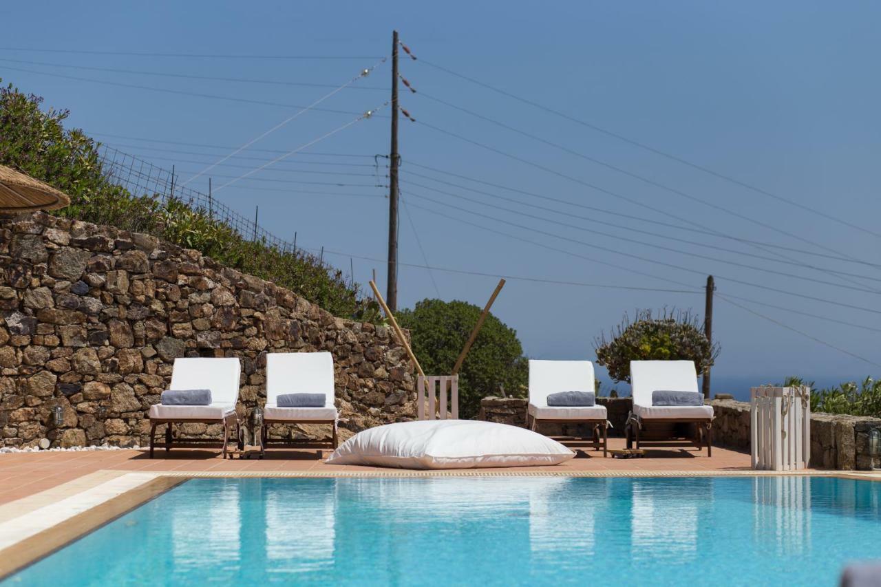 Panorea Complex - Mykonos Áno Merá Kültér fotó